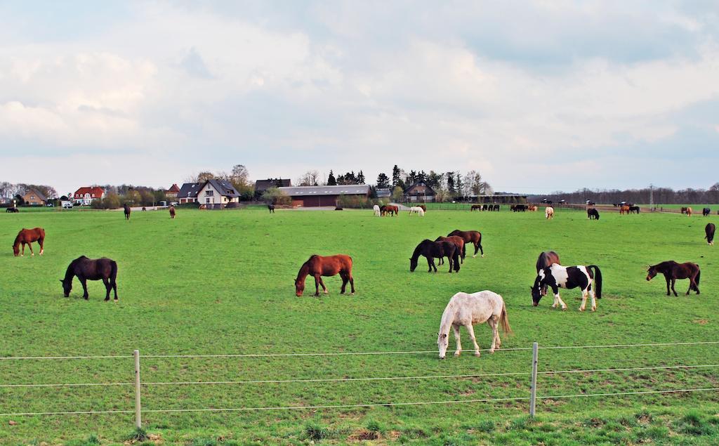 Ferienwohnung Bergblick Xanten Kültér fotó